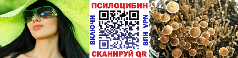 продажа наркотиков  Кумертау  Псилоцибиновые грибы Cubensis 